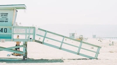 lifeguards of the cell featured image