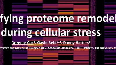 Lorne Proteins 2020 featured image