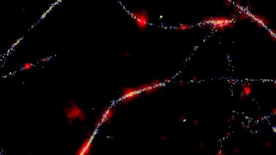 Manuscript: The sticky cell savers featured image